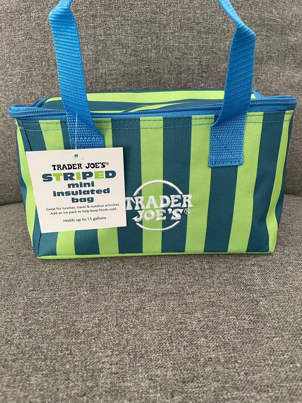 Trader Joe's Striped Mini Insulated Bag - Lime & Teal